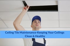 Ceiling Tile Maintenance-Keeping YOur Ceilings Clean & Healthy