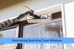 Maintaining Sparkling Clean Windows